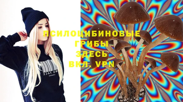 спайс Арсеньев