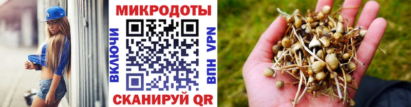 Галлюциногенные грибы Magic Shrooms  Усолье 